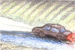 
Point your car or vehicle's headlights down your driveway in the direction you need the ambulance to go.
